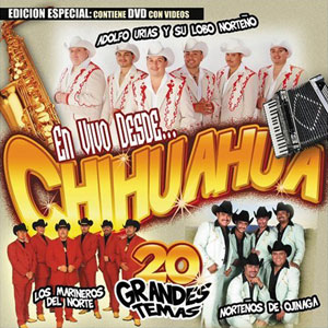 estado chihuahua 20 grandes temas