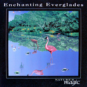 evergladesenchantingbyrondavis