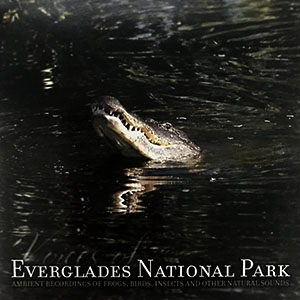 evergldesvoicesambientsounds