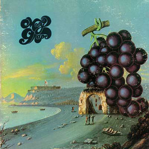 food fruit grape