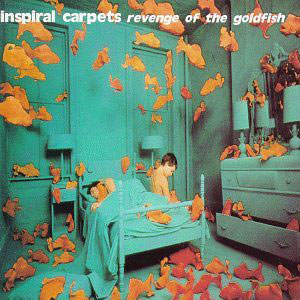 inspiralcarpetsrevengeofthegoldfish