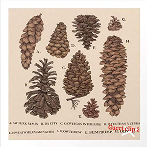 itsrainingpineconeslilpinecone