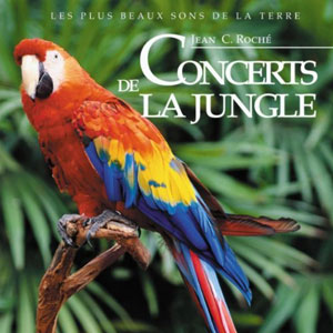 jungle concerts jean roche