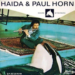 killerwhalehaidapaulhorn