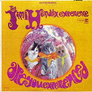 kittensjimihendrixareyouexperienced