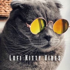 kittyvibeslofi