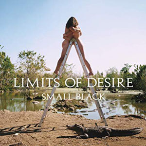 limitsofdesiresmallblack