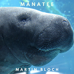 manateemartinbloch