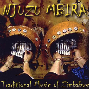 mbira njuzu traditional zimbabwe