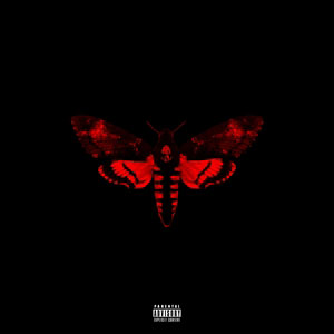 moth lil wayne not a human being