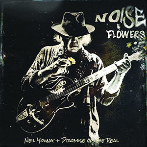 noiseandflowersneilyoung