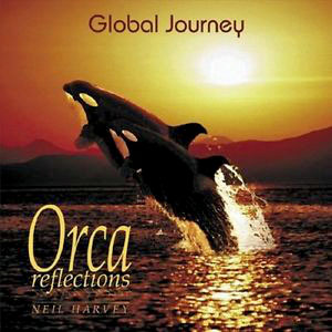 orcareflectionsglobaljourneyharvey