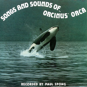 orcinusorcasongspaulspong