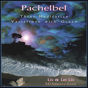 pachelbel meditative with ocean