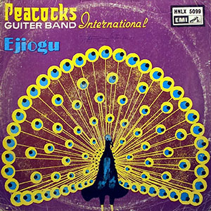 peacocksguiterbandinternationalejiogu