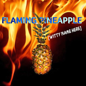 pineappleflamingwittynamehere