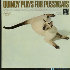 quincy plays for pussycats