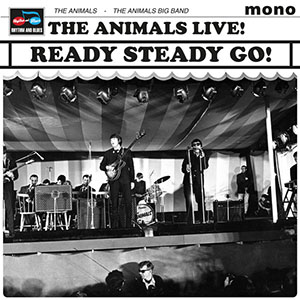 readysteadygotheanimalslive