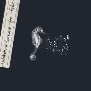 seahorse watch give birth