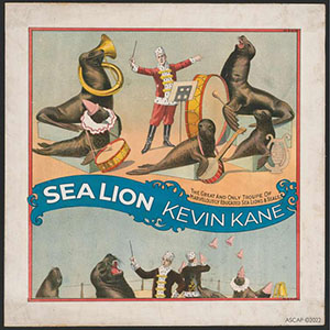 sealionkevinkane