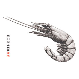 shrimpjapanese