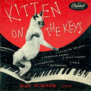 siamese kitten on the keys ray turner