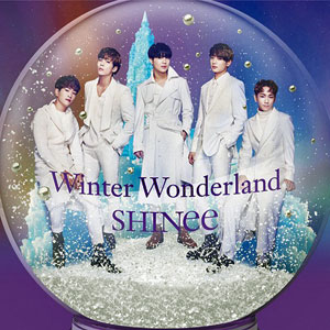 snowglobeshineewinterwonderland