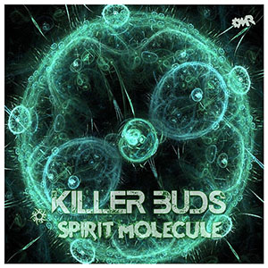 spiritmoleculekillerbuds