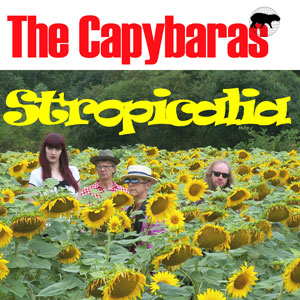 sunflowers capybaras stropicalia