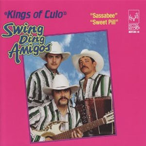 swing ding amigos sassabee