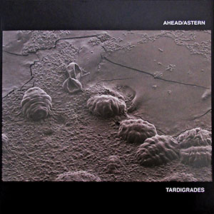 tardigradesaheadastern