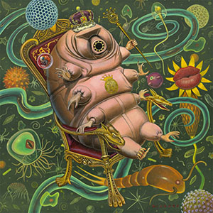 tardigradetunemrroberelli