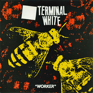 terminalwhiteworkerbee