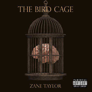 thebirdcagezanetaylor