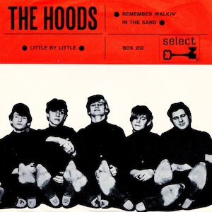 thehoodswalkininthesand