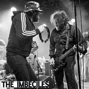 theimbeciles