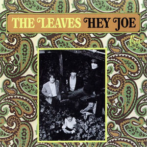 theleavesheyjoe