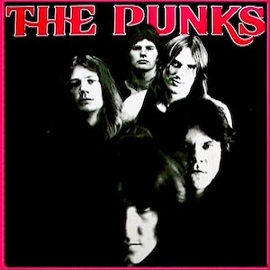 thepunksthepunks