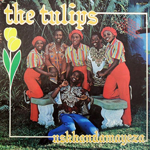 thetulipsuskhandamayeza