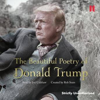 trumpbeautifulpoetry