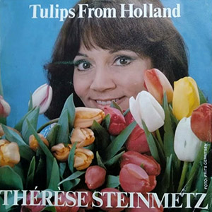 tulipsfromhollandtheresesteinmetz