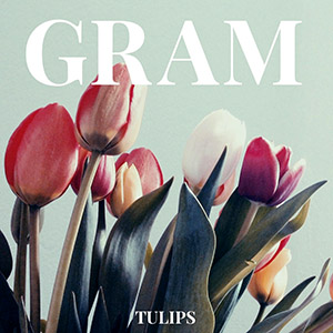 tulipsgram