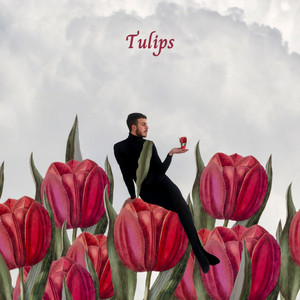 tulipssamiassaf