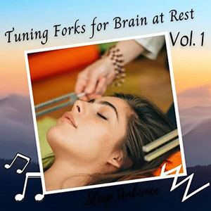 tuningforksforthebrainvol1