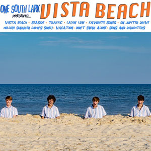 vistabeachonesouthlark
