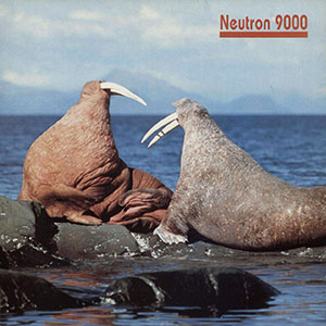 walrusneutron9000