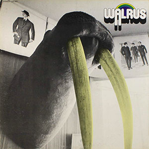 walruswalrus