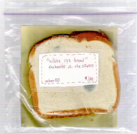 whiteryebreadtheskaters