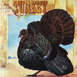 wild turkey