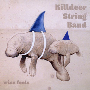 wisefoolskilldeerstringband